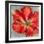 Cinnabar I-Carson-Framed Giclee Print