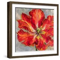 Cinnabar I-Carson-Framed Giclee Print