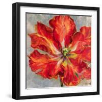 Cinnabar I-Carson-Framed Giclee Print