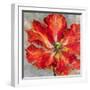 Cinnabar I-Carson-Framed Giclee Print