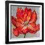 Cinnabar II-Carson-Framed Giclee Print