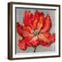 Cinnabar II-Carson-Framed Giclee Print