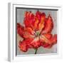 Cinnabar II-Carson-Framed Giclee Print