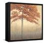 Cinnabar-James Wiens-Framed Stretched Canvas