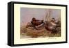 Cinnamon and Blue-Winged Teals-Allan Brooks-Framed Stretched Canvas