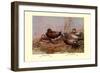 Cinnamon and Blue-Winged Teals-Allan Brooks-Framed Art Print