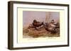 Cinnamon and Blue-Winged Teals-Allan Brooks-Framed Premium Giclee Print