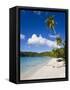 Cinnamon Bay Beach and Palms, St. John, U.S. Virgin Islands, West Indies, Caribbean-Gavin Hellier-Framed Stretched Canvas