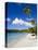Cinnamon Bay Beach and Palms, St. John, U.S. Virgin Islands, West Indies, Caribbean-Gavin Hellier-Stretched Canvas