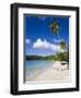 Cinnamon Bay Beach and Palms, St. John, U.S. Virgin Islands, West Indies, Caribbean-Gavin Hellier-Framed Photographic Print