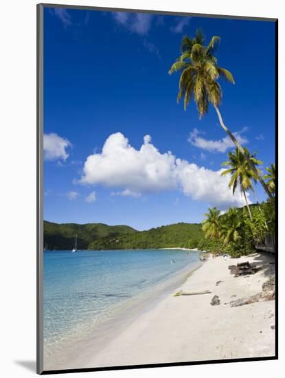 Cinnamon Bay Beach and Palms, St. John, U.S. Virgin Islands, West Indies, Caribbean-Gavin Hellier-Mounted Photographic Print