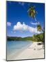 Cinnamon Bay Beach and Palms, St. John, U.S. Virgin Islands, West Indies, Caribbean-Gavin Hellier-Mounted Photographic Print