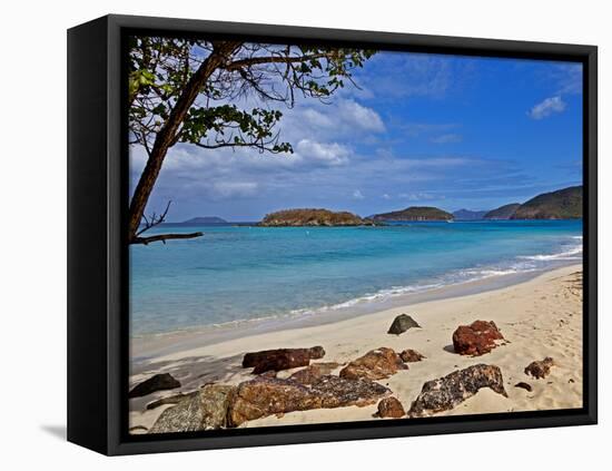 Cinnamon Bay on the Island of St. John, Us Virgin Islands-Joe Restuccia III-Framed Stretched Canvas