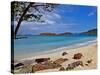 Cinnamon Bay on the Island of St. John, Us Virgin Islands-Joe Restuccia III-Stretched Canvas