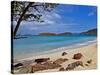 Cinnamon Bay on the Island of St. John, Us Virgin Islands-Joe Restuccia III-Stretched Canvas