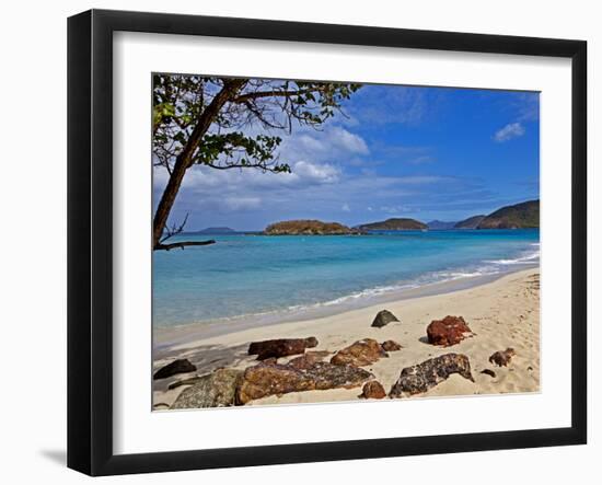 Cinnamon Bay on the Island of St. John, Us Virgin Islands-Joe Restuccia III-Framed Premium Photographic Print