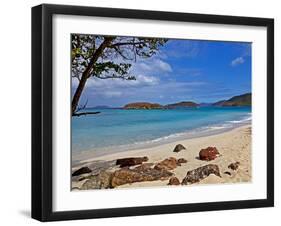 Cinnamon Bay on the Island of St. John, Us Virgin Islands-Joe Restuccia III-Framed Premium Photographic Print