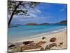 Cinnamon Bay on the Island of St. John, Us Virgin Islands-Joe Restuccia III-Mounted Premium Photographic Print