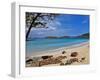 Cinnamon Bay on the Island of St. John, Us Virgin Islands-Joe Restuccia III-Framed Photographic Print