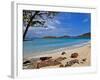 Cinnamon Bay on the Island of St. John, Us Virgin Islands-Joe Restuccia III-Framed Photographic Print