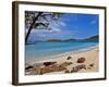 Cinnamon Bay on the Island of St. John, Us Virgin Islands-Joe Restuccia III-Framed Photographic Print