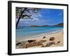 Cinnamon Bay on the Island of St. John, Us Virgin Islands-Joe Restuccia III-Framed Photographic Print