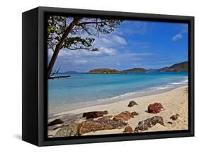 Cinnamon Bay on the Island of St. John, Us Virgin Islands-Joe Restuccia III-Framed Stretched Canvas