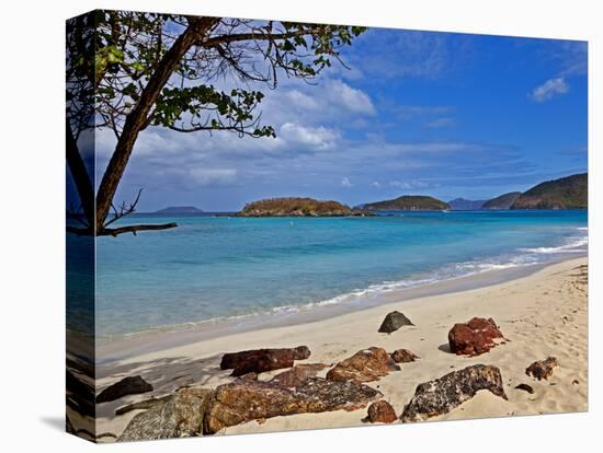 Cinnamon Bay on the Island of St. John, Us Virgin Islands-Joe Restuccia III-Stretched Canvas