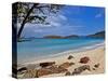 Cinnamon Bay on the Island of St. John, Us Virgin Islands-Joe Restuccia III-Stretched Canvas