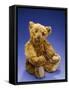 Cinnamon Center Seam Steiff Bear, circa 1903-Steiff-Framed Stretched Canvas