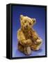 Cinnamon Center Seam Steiff Bear, circa 1903-Steiff-Framed Stretched Canvas