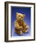 Cinnamon Center Seam Steiff Bear, circa 1903-Steiff-Framed Giclee Print