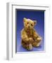 Cinnamon Center Seam Steiff Bear, circa 1903-Steiff-Framed Giclee Print