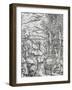 Cinnamon Harvesting on the Moluccan Islands, Engraving from Universal Cosmology-Andre Thevet-Framed Giclee Print