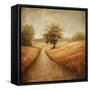 Cinnamon Road I-Michael Marcon-Framed Stretched Canvas