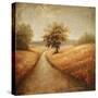 Cinnamon Road I-Michael Marcon-Stretched Canvas