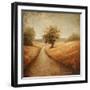 Cinnamon Road I-Michael Marcon-Framed Art Print