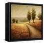 Cinnamon Road II-Michael Marcon-Framed Stretched Canvas