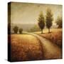 Cinnamon Road II-Michael Marcon-Stretched Canvas