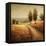 Cinnamon Road II-Michael Marcon-Framed Stretched Canvas