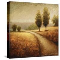 Cinnamon Road II-Michael Marcon-Stretched Canvas