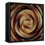 Cinnamon Roll-David Manlove-Framed Stretched Canvas