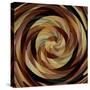 Cinnamon Roll-David Manlove-Stretched Canvas