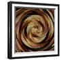 Cinnamon Roll-David Manlove-Framed Giclee Print