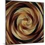 Cinnamon Roll-David Manlove-Mounted Giclee Print