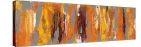 Cinnamon Row-Danhui Nai-Stretched Canvas