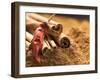 Cinnamon Sticks and Dried Chilli on Ground Cinnamon-Eising Studio - Food Photo and Video-Framed Photographic Print