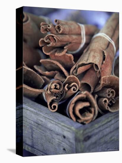 Cinnamon Sticks at the Market, Lesser Antilles, French West Indies-Yadid Levy-Stretched Canvas