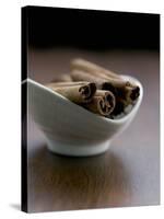 Cinnamon Sticks in Small Bowl-Henrik Freek-Stretched Canvas
