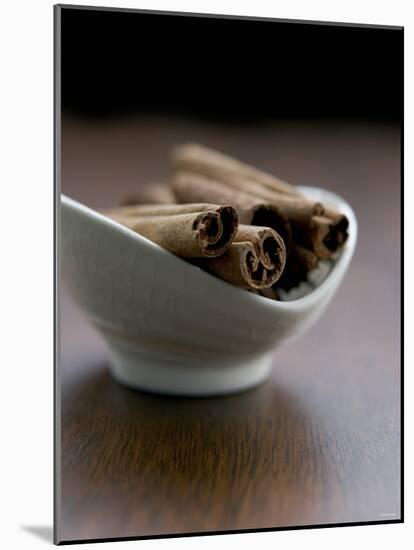 Cinnamon Sticks in Small Bowl-Henrik Freek-Mounted Photographic Print